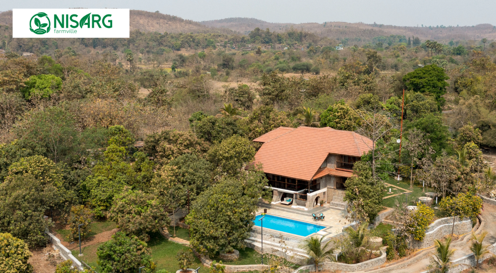 Pre-Summer Greenery: How February–March Brings Out Nisarg Farm Villa’s Beauty